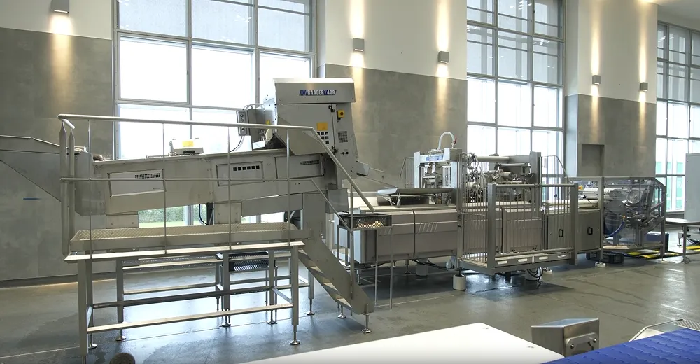 Large industrial Baader 408 fish processing machine inside a bright factory with large windows.