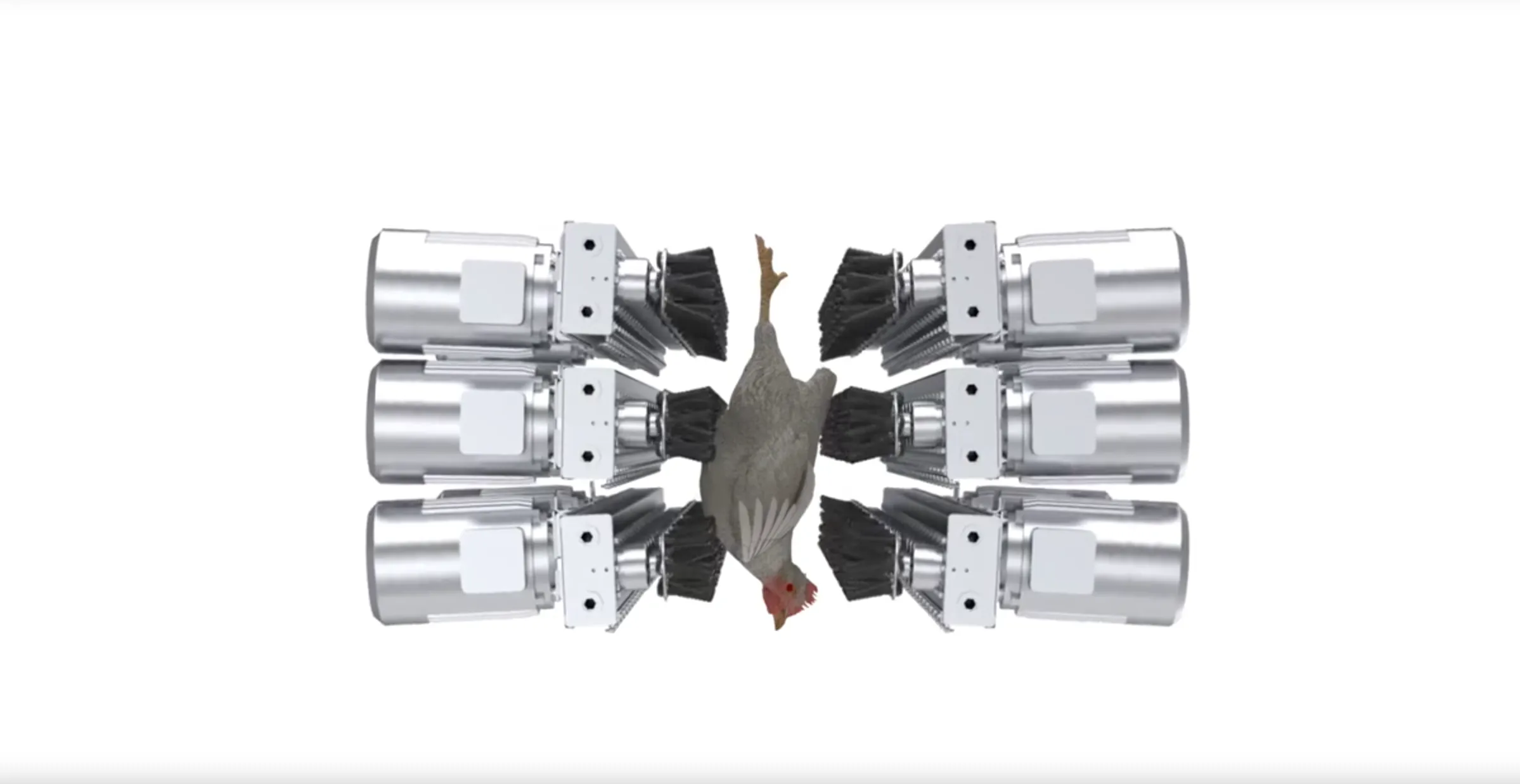 Six mechanical brushes arranged in two rows cleaning a chicken placed in the center.