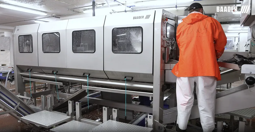 Worker in orange jacket and white pants operating a large stainless steel Baader industrial machine in a processing facility.