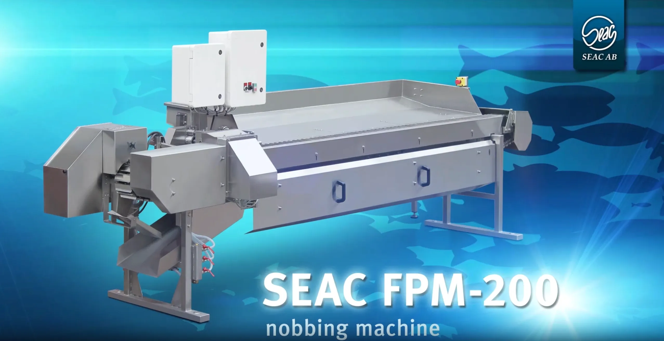 SEAC FPM-200 stainless steel fish nobbing machine with control boxes on a blue background featuring fish silhouettes and the SEAC AB logo.