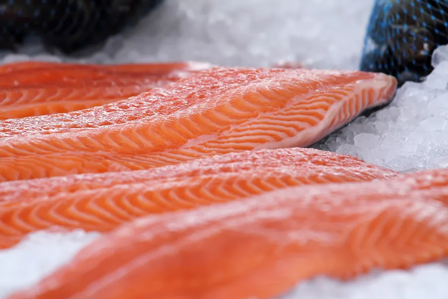 Fresh salmon fillets with visible texture on a bed of crushed ice.