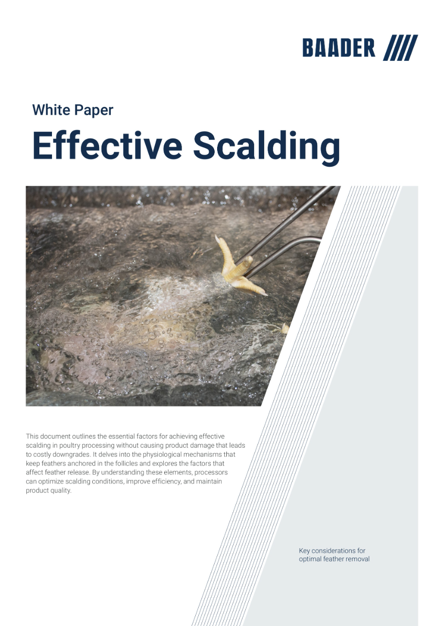 White paper cover titled Effective Scalding by Baader, featuring a photo of a chicken foot being dipped in bubbling hot water for feather removal.