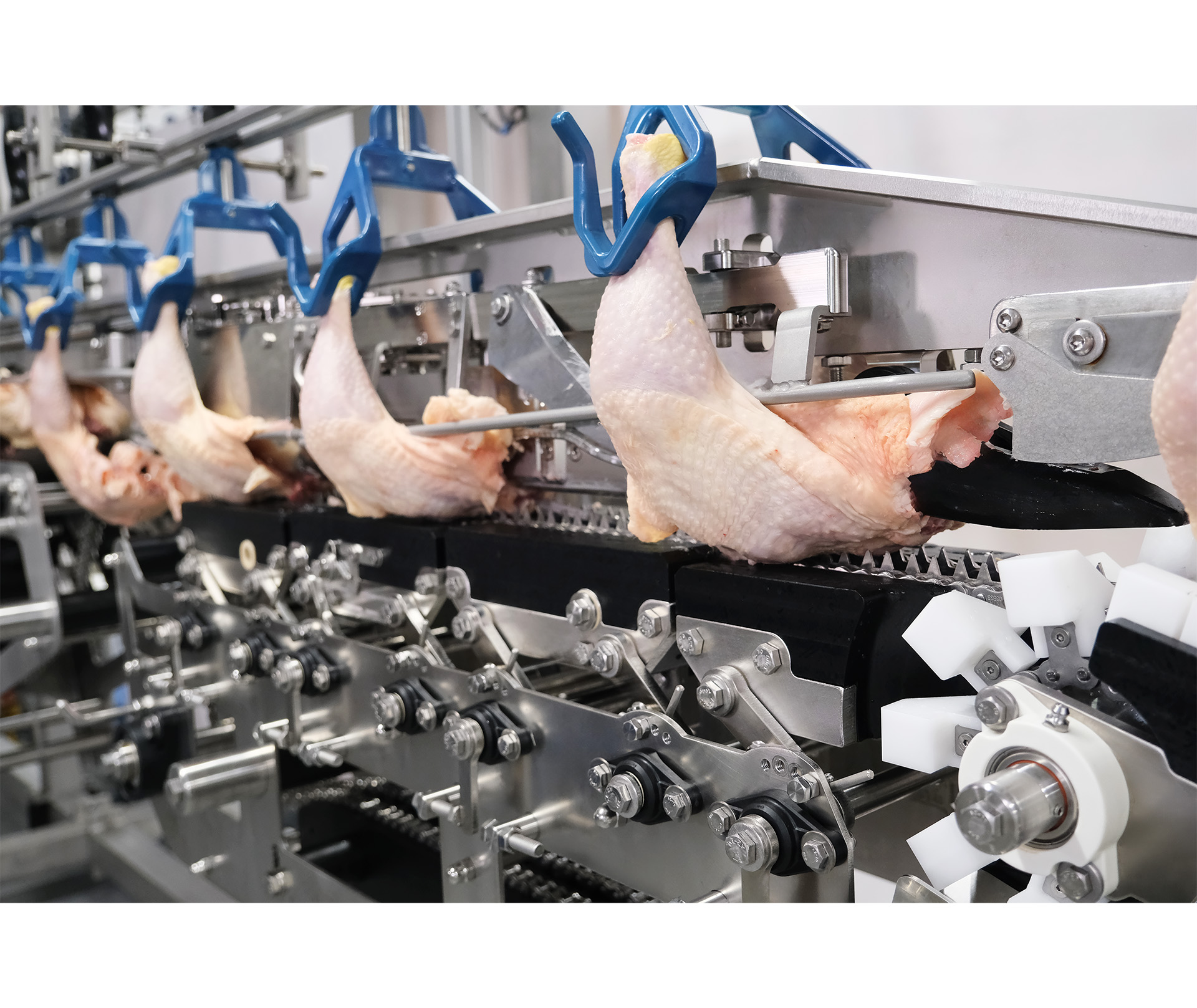 Automated poultry processing line from BAADER with chicken legs hanging from blue hooks moving along a conveyor system.