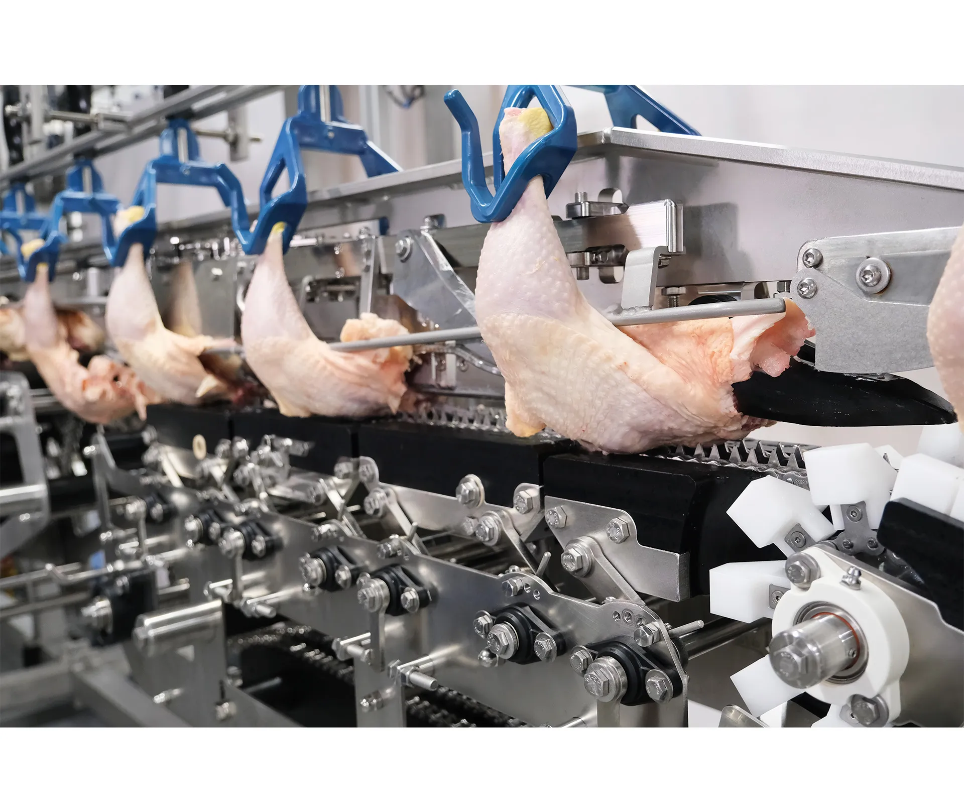Automated poultry processing line from BAADER with chicken legs hanging from blue hooks moving along a conveyor system.