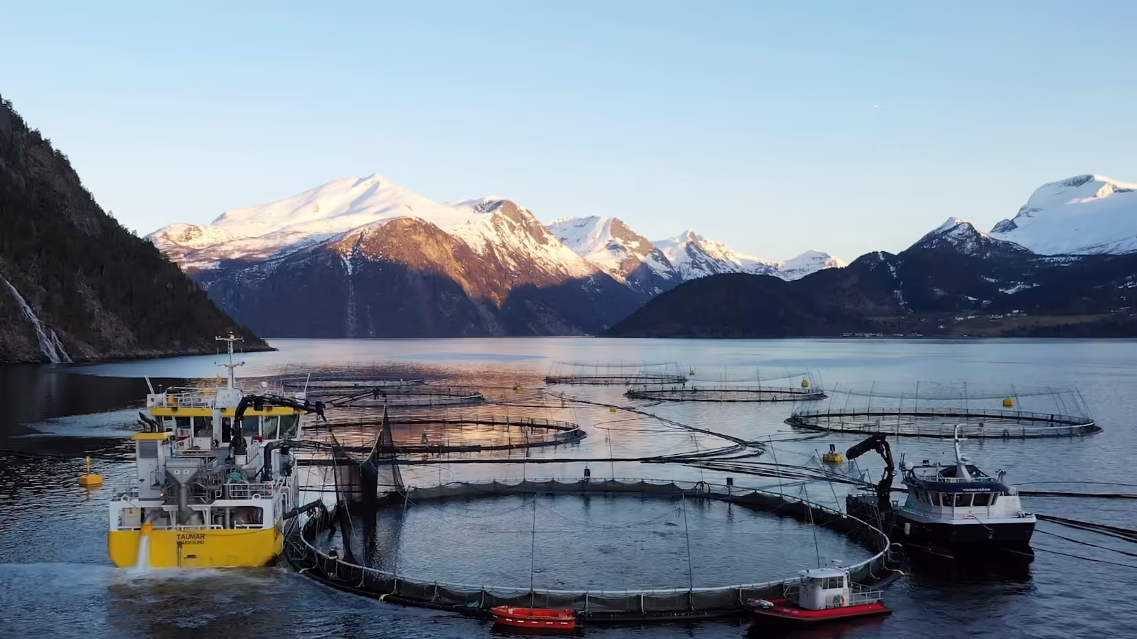 Fish farming cages in a fjord with snow-capped mountains and boats at sunset.