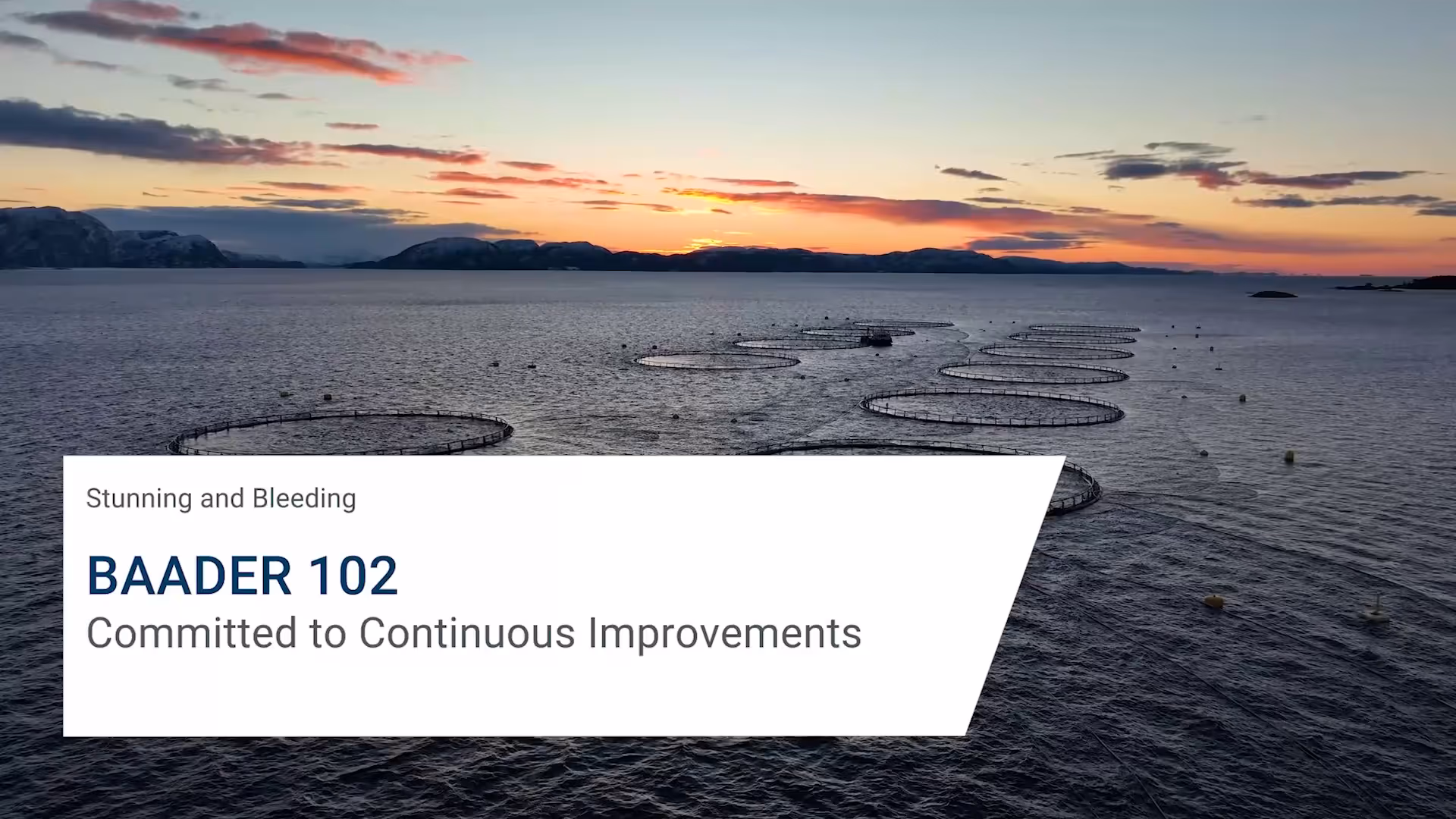 Fish farm pens in ocean at sunset with mountains in the background and text about Baader 102.