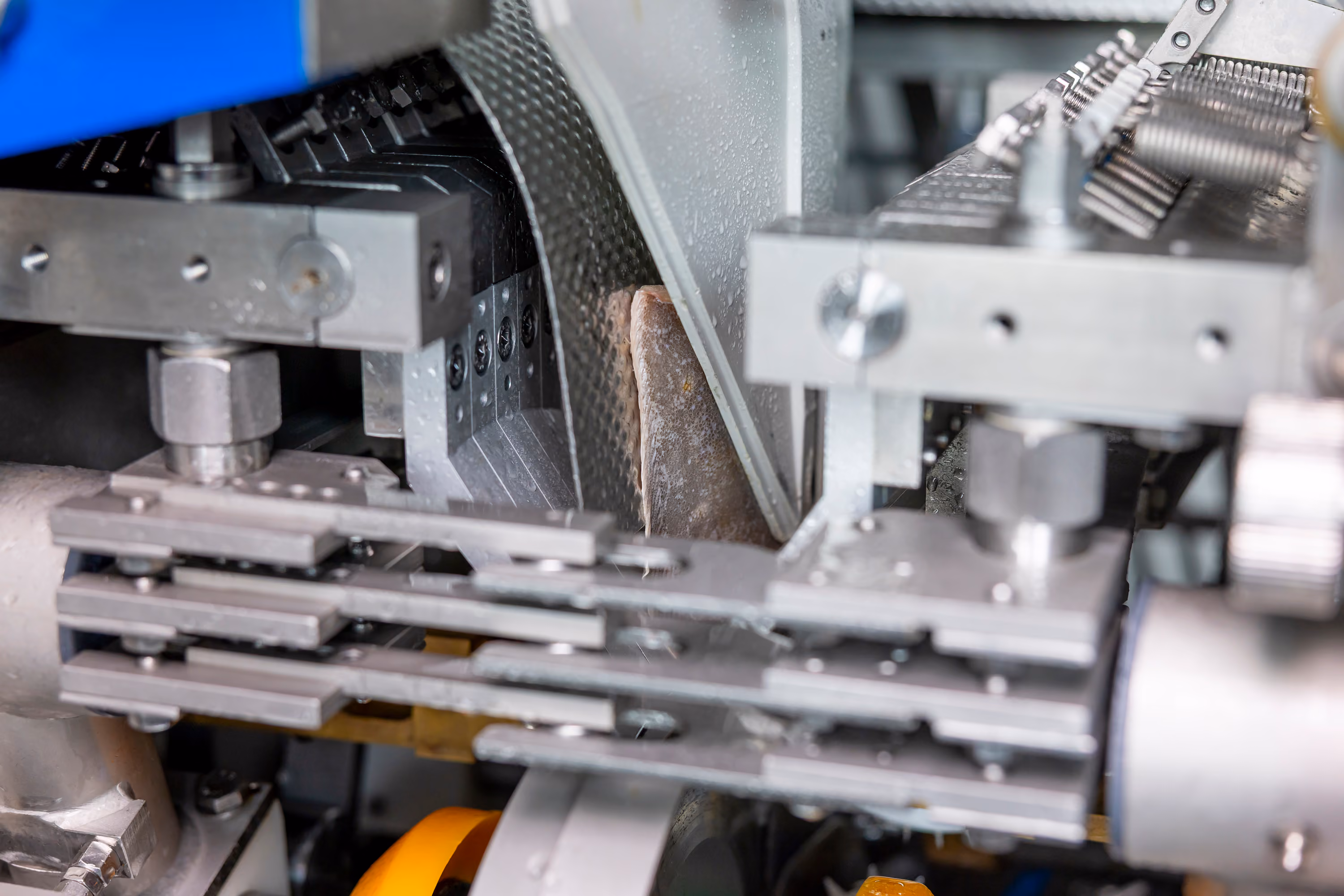 Close-up of machinery processing a fish inside a food processing machine.