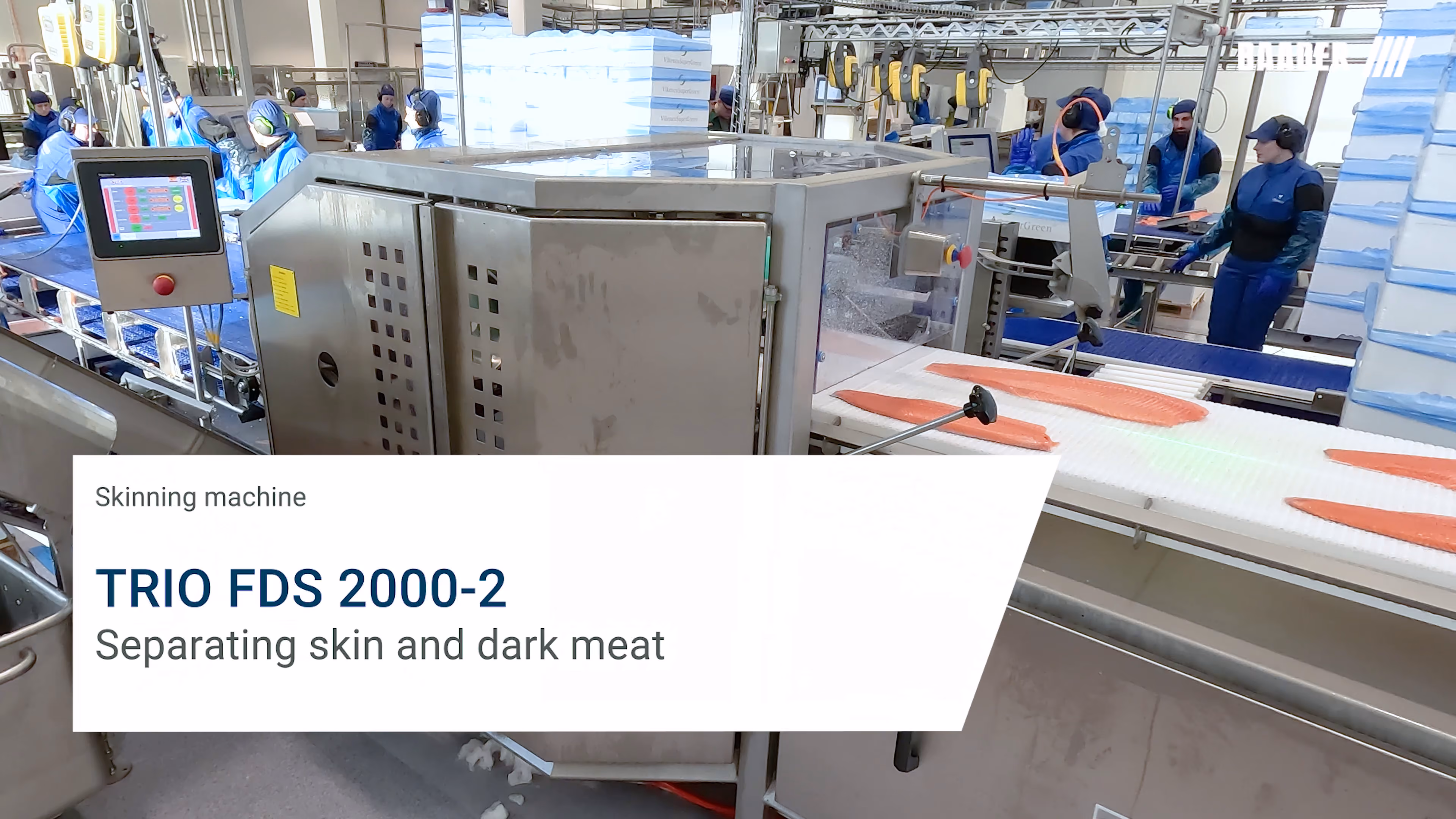Industrial skinning machine processing fish fillets on a conveyor belt in a factory setting with workers around.