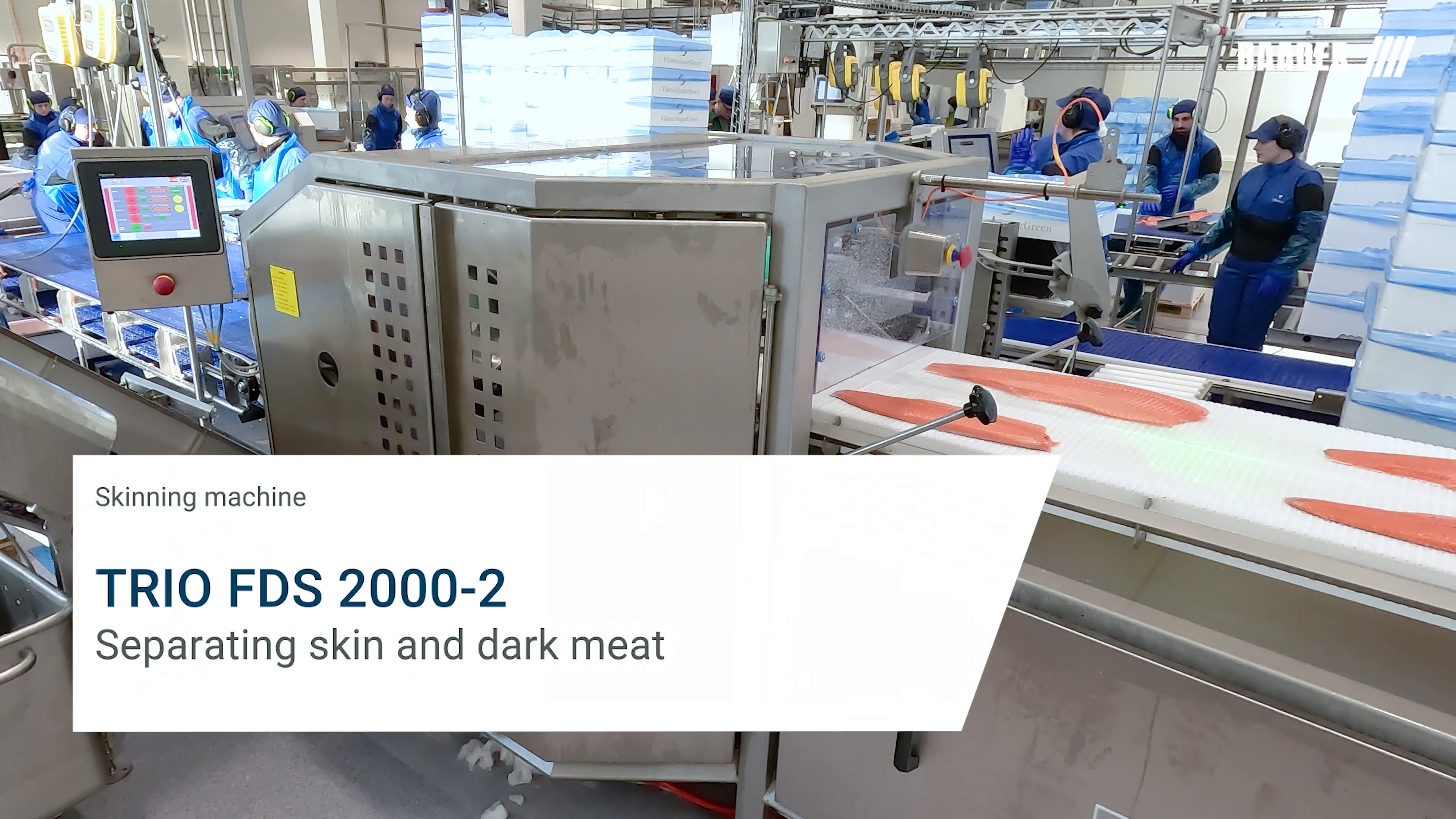 Industrial skinning machine processing fish fillets on a conveyor belt in a factory setting with workers around.