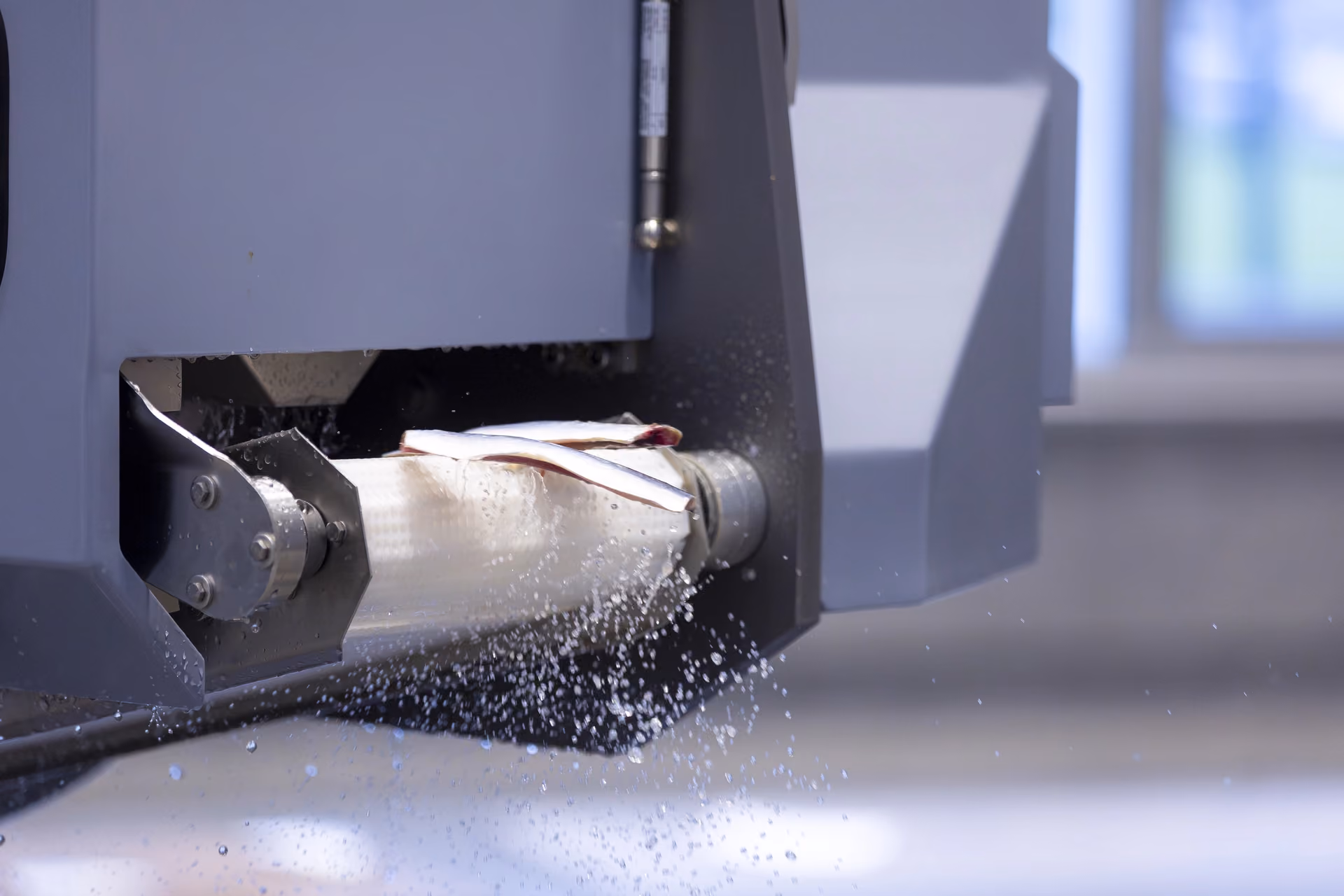 Industrial machine spraying water on a conveyor belt carrying fish fillets.