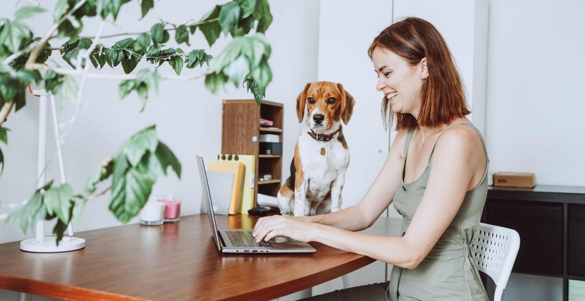 Vrouw met laptop en hond op tafel