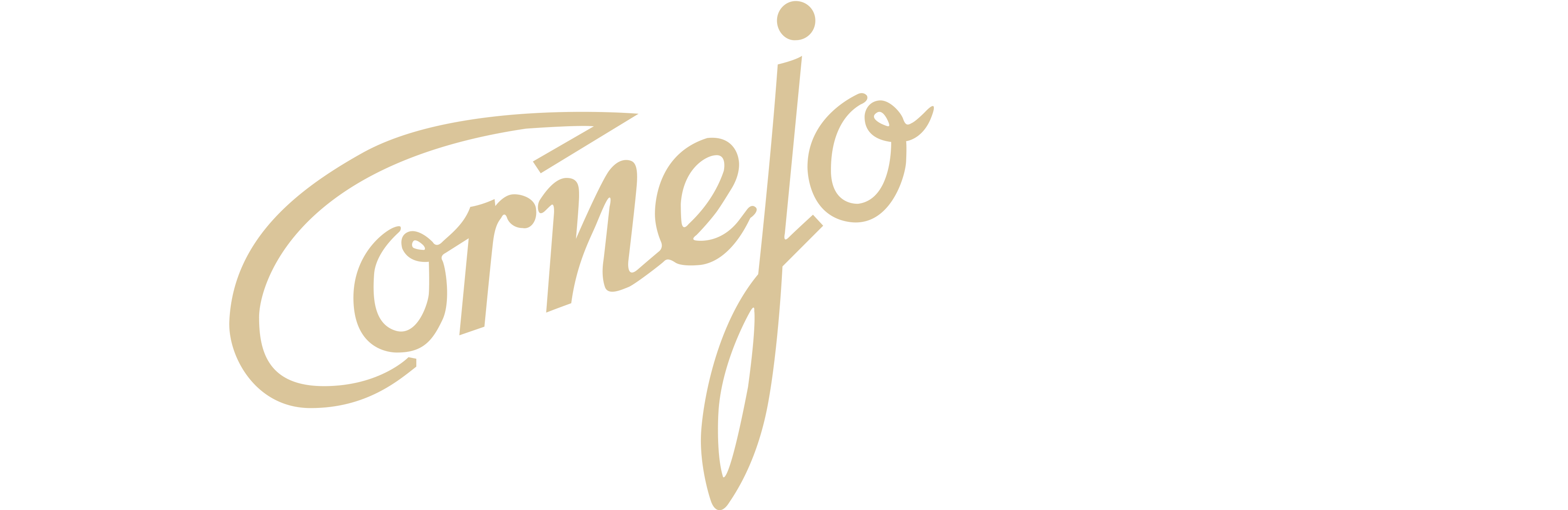 Logo from Cornejo
