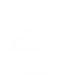 SEO Services