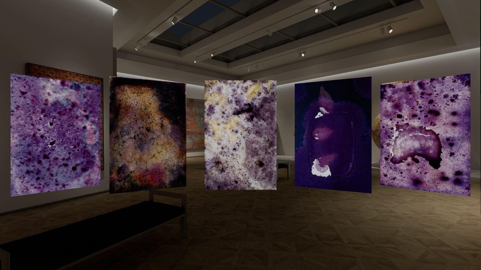 A bright gallery with 5 tall abstract photographic works in violet, cream, and amber hung on white walls.