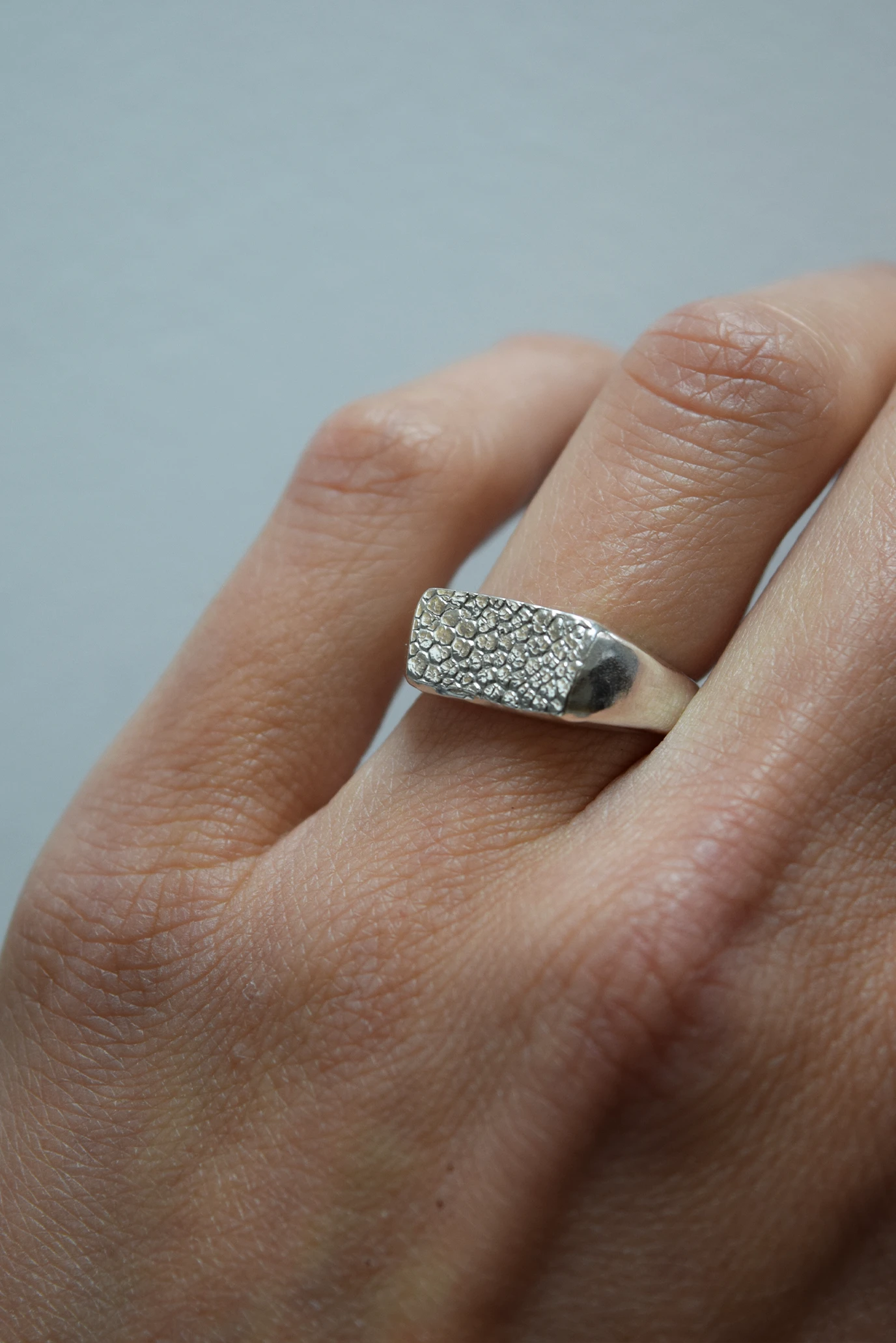 Terra Ring · Silver