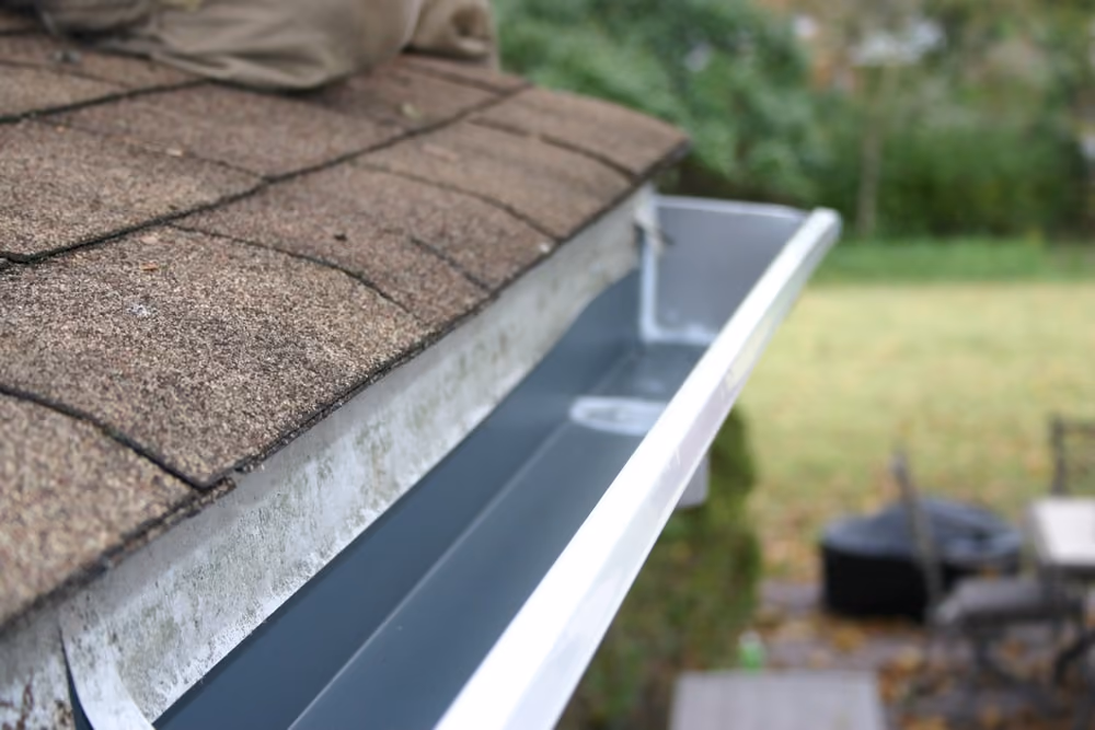 Gutter cleaning