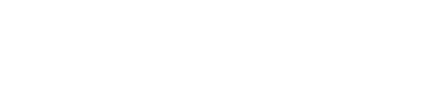 DeveloperTown logo