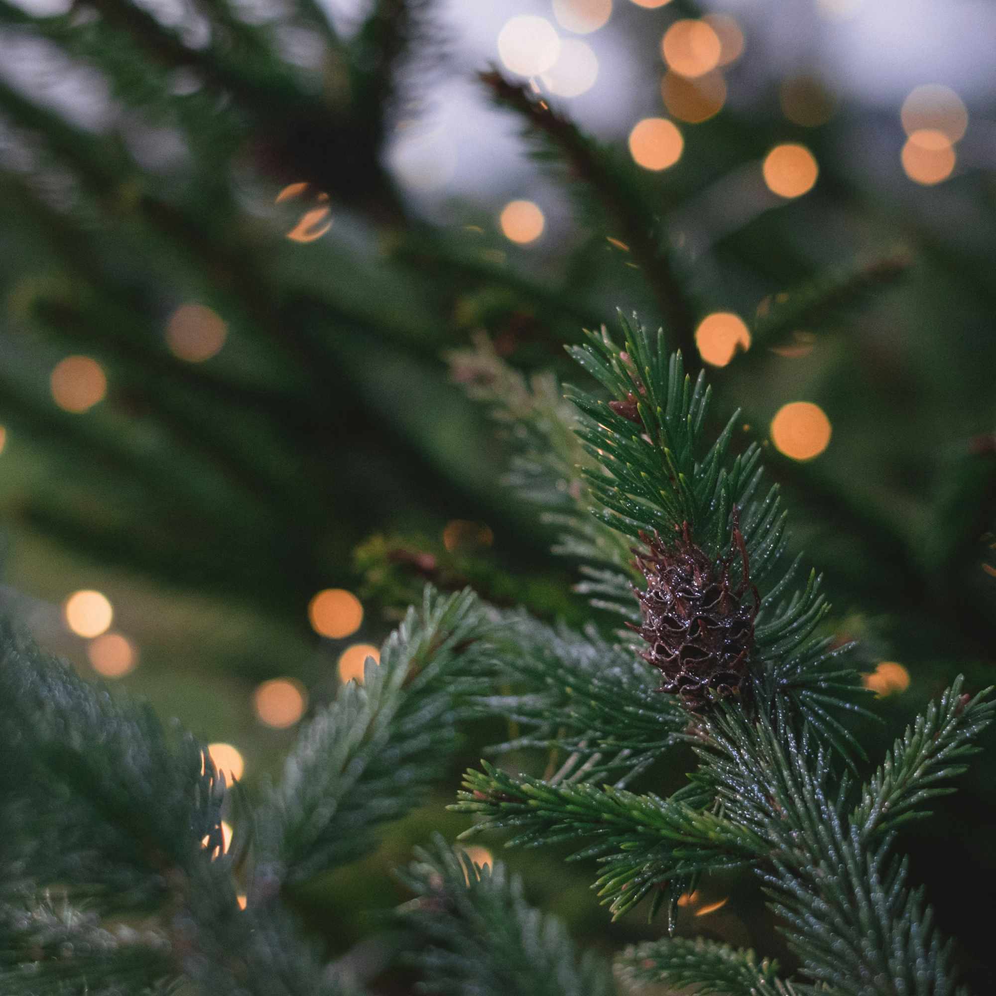 Schöne Feiertage und einen guten Start ins neue Jahr