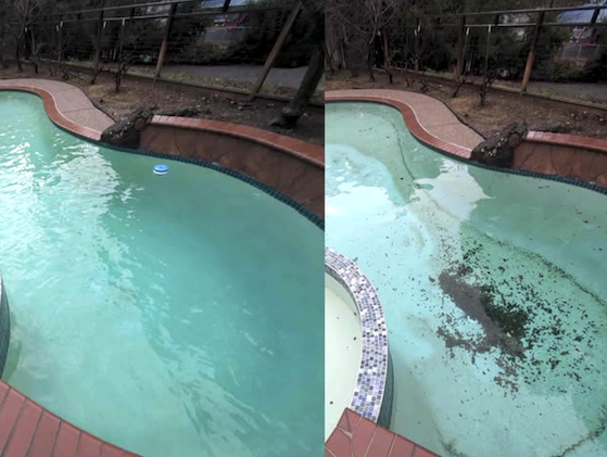 Dirty pool before and after cleaning