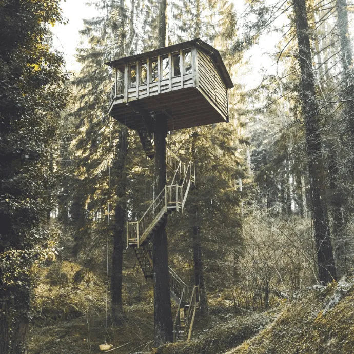 Ein Baumhaus