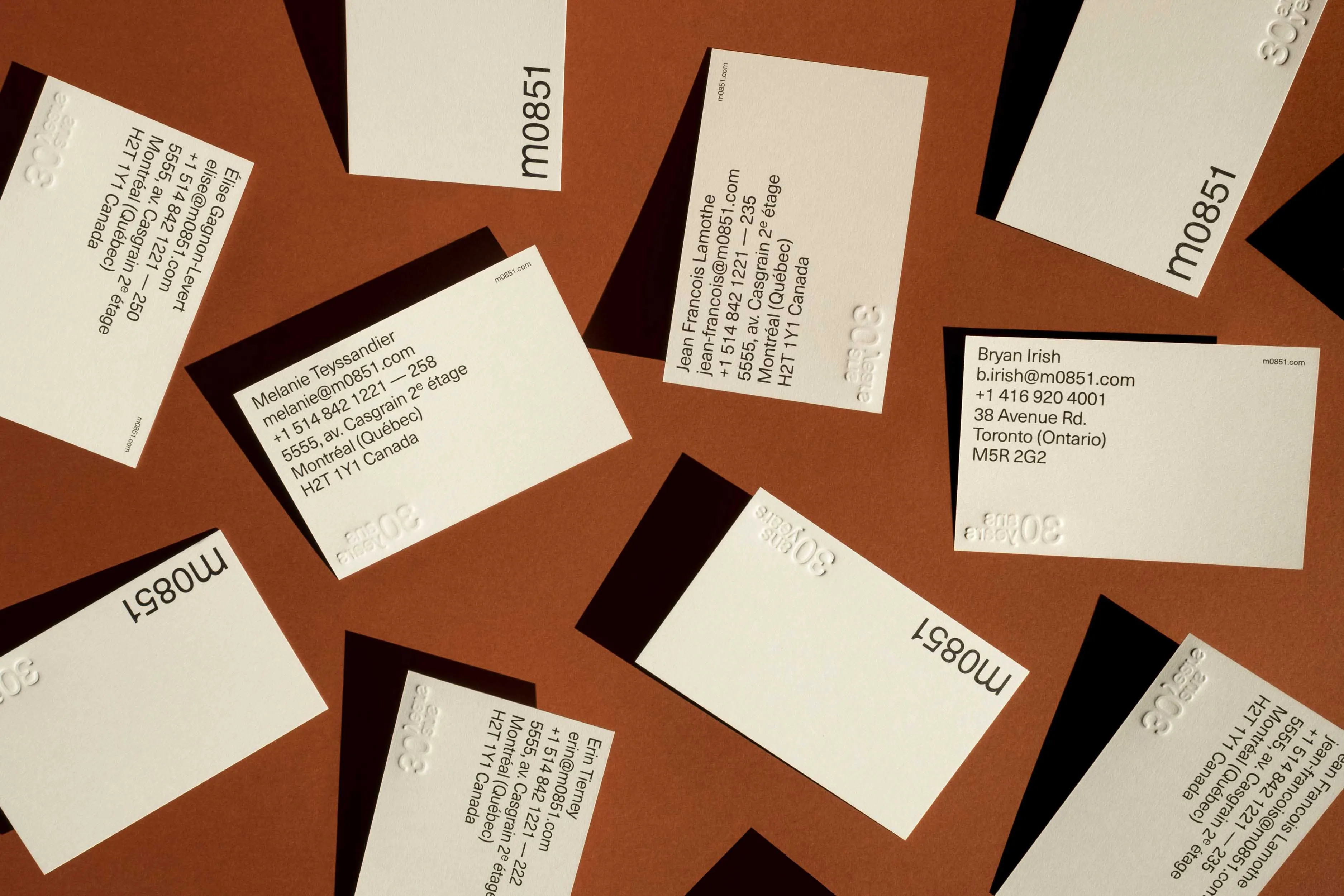 Cartes d'affaires M0851