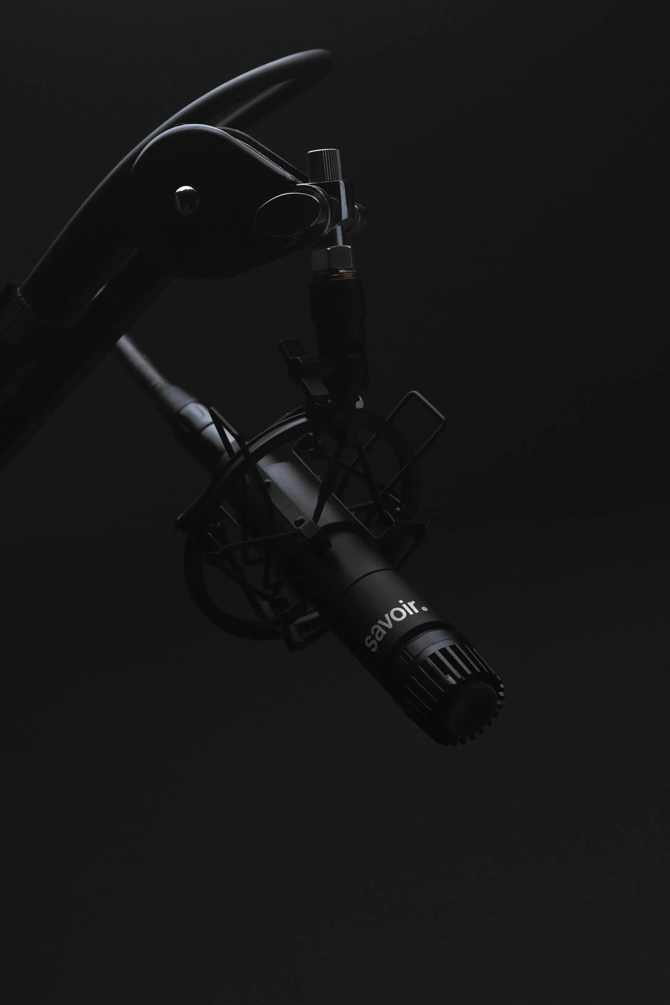 Microphone