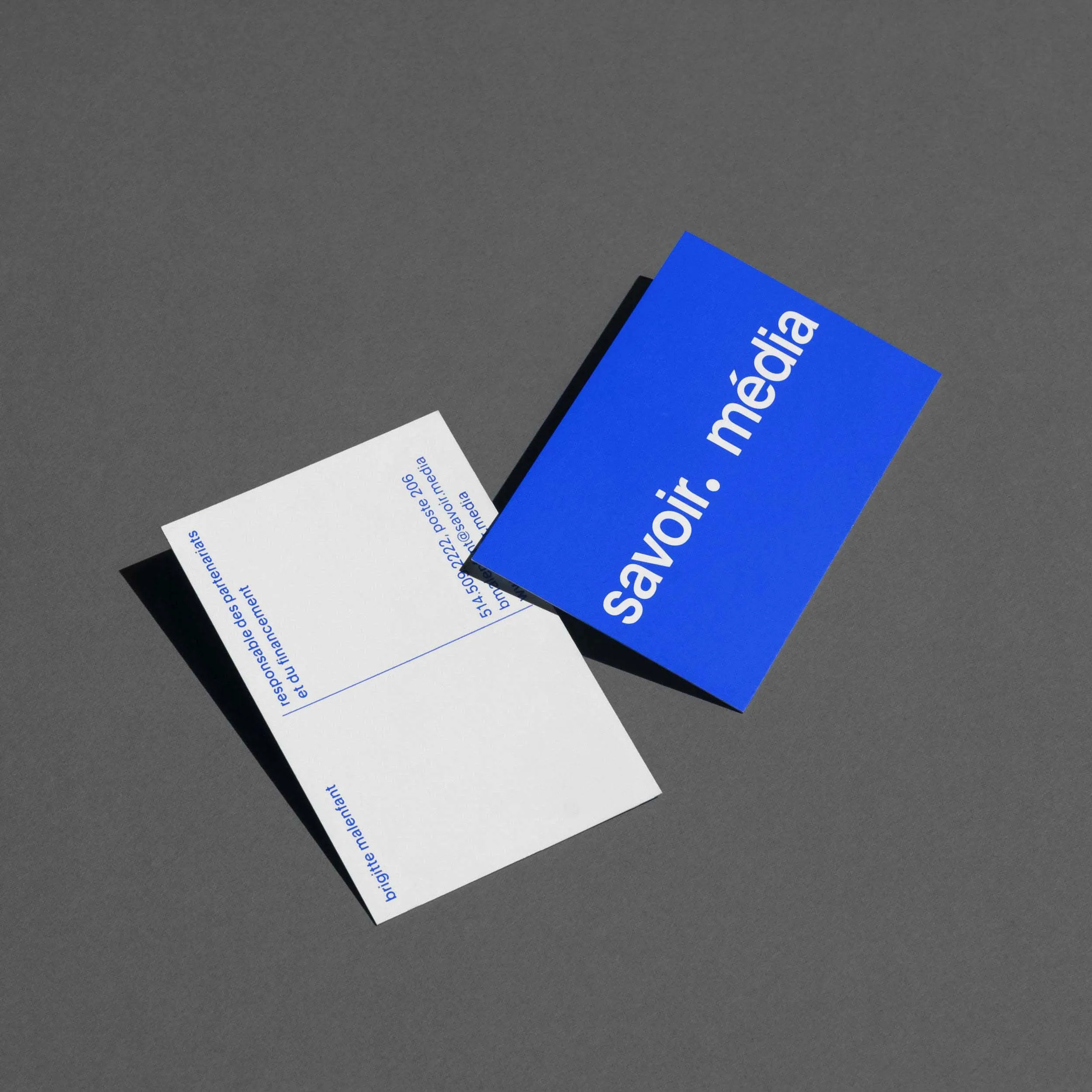 Carte d'affaire Savoir Média