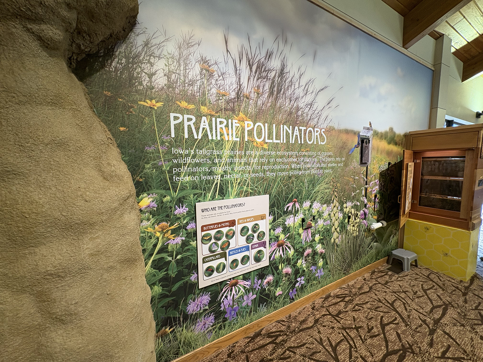 Dorothy Pecaut Nature Center