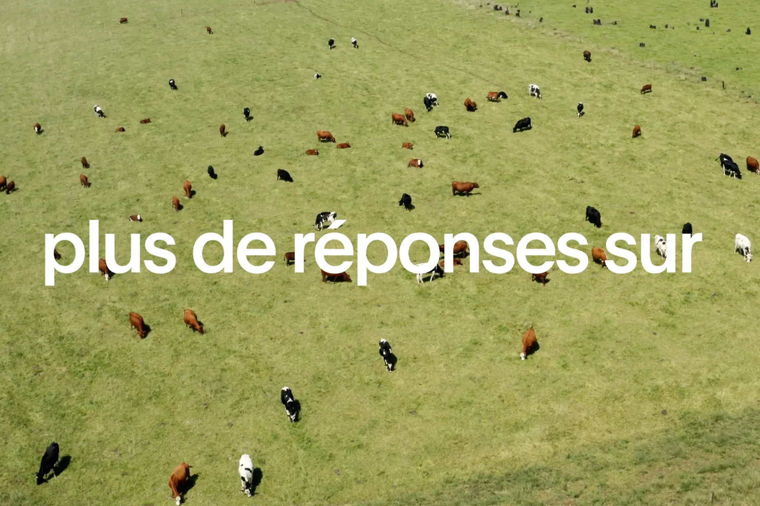https://player.vimeo.com/progressive_redirect/download/418580503/rendition/1080p/savoir_media_id%20%281080p%29.mp4?loc=external&signature=50ac7ef7c21900257543c79dcc06b229195dd6d813568f92d0b1648c7f17f0e9
