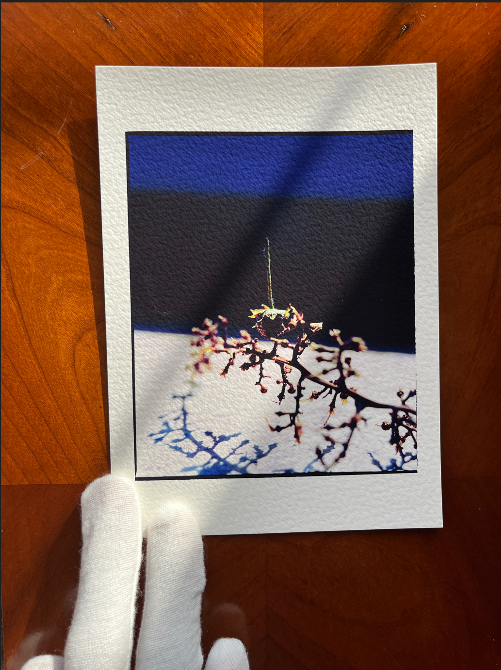 Squelette 5" x 7" Cotton Print [Archive LA MAISON HOME LAKAY]