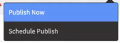 publish now button unbounce
