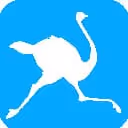 logo piwaa