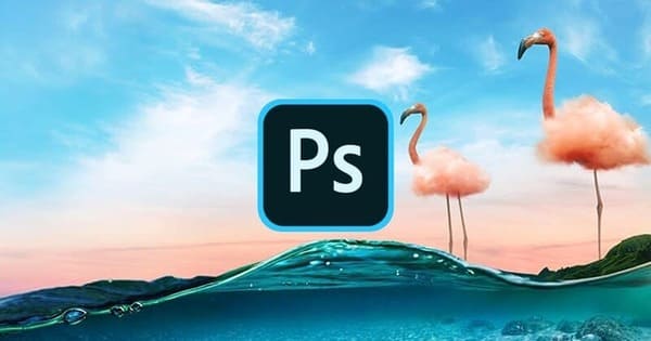 Comment Transformer une Photo en Dessin - Adobe