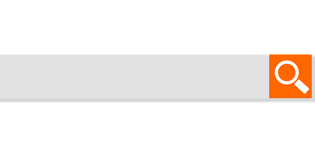 place holder, searching, web element