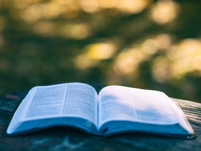 book, pages, open book, read, reading, knowledge, education, leisure, hobby, bookworm, chapters, literature, open, outdoors, research, study, book, book, book, book, book, open book, education, study