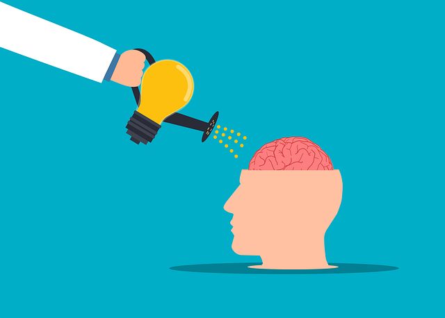 brain, development, watering, head, motivation, improve, mental, lightbulb, idea, education, future, information, physiology, thoughts, think, positive, creative, mind, intelligence, inspiration, mindset, cartoon, hand, help, brain, mindset, mindset, mindset, mindset, mindset