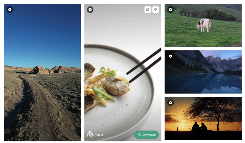 Bibliothèque de contenu riche et variée de photos et de vidéos du site web pexels