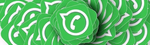 whatsapp, icon, communication, social, sms, news, app, whatsapp, whatsapp, whatsapp, whatsapp, whatsapp