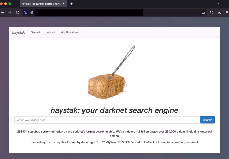interface du moteur de recherche dark web haystak
