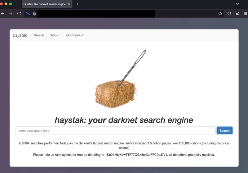 interface du moteur de recherche dark web haystak