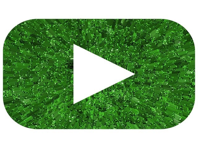 youtube, logo, icon, button, youtube icon, youtube button, play button, play video, youtube logo, watch youtube, videos, video sharing, multimedia, social media, tiktok, app, application, mobile app, mobile application, media, cut out, green