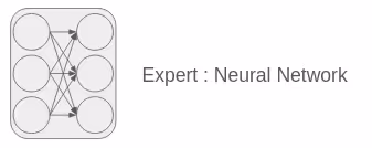 MOE Expert