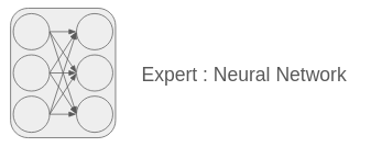 MOE Expert