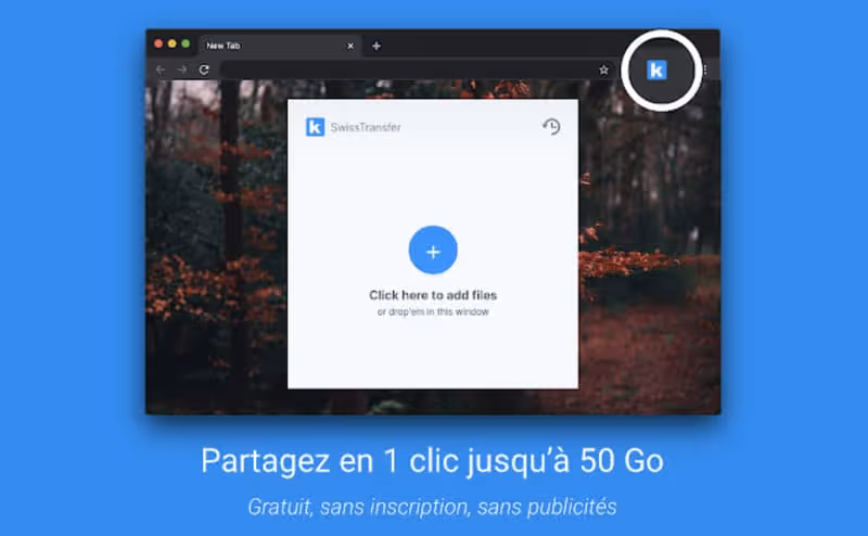 Interface e SwissSwissTransfer