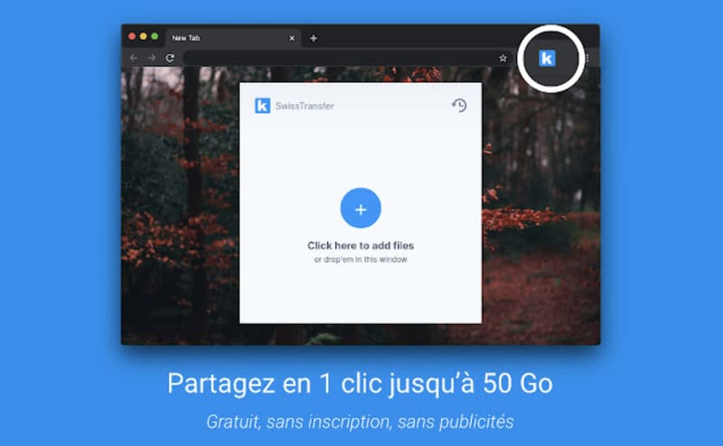 Interface e SwissSwissTransfer