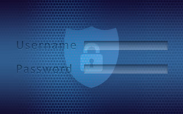 efficacité des mesures de sécurité contre les cyberattaqus
