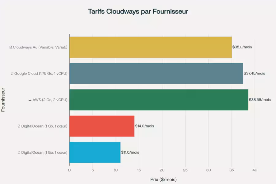 Tarifs de cloudways par fournisseur