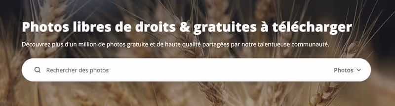 barre de recherche Pixabay