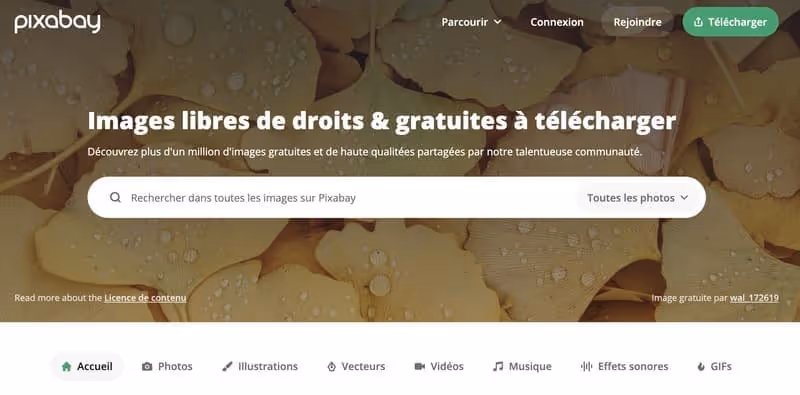 Diversité des Contenus de pixabay 1