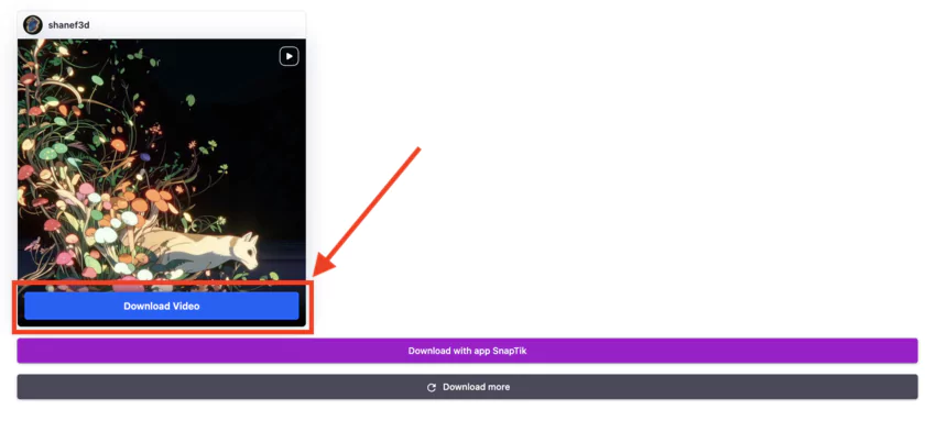 Instagram downloader